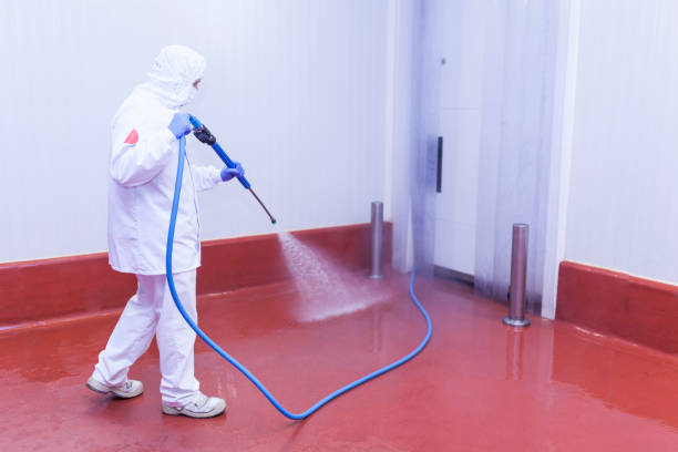 Best Roof Cleaning and Mildew Removal in Sebree, KY